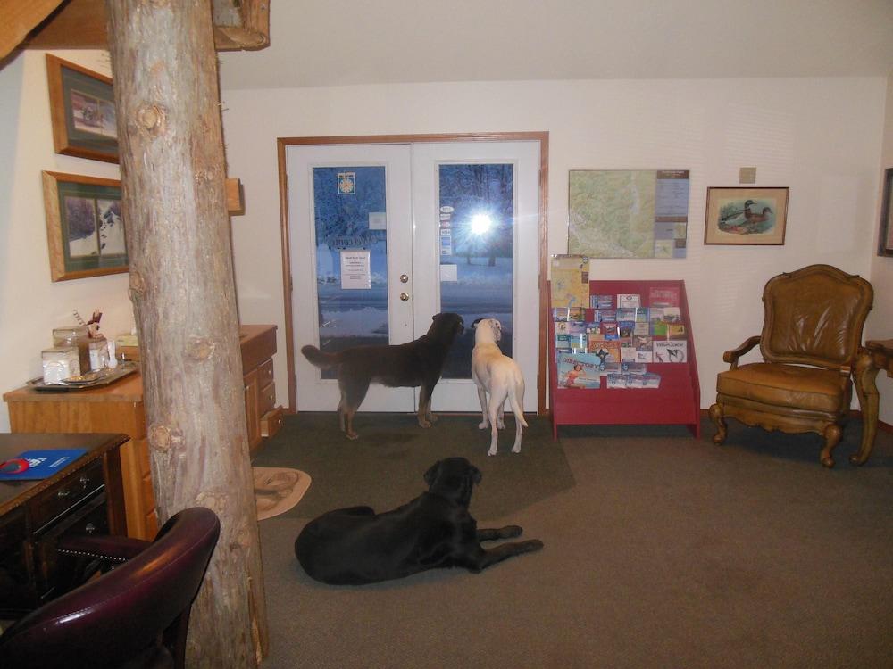 Clark Fork Lodge Экстерьер фото
