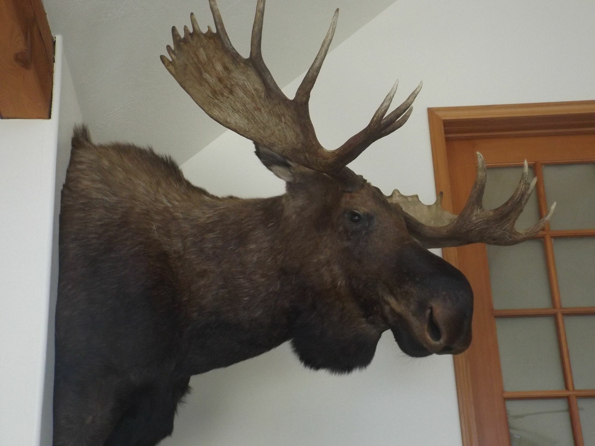 Clark Fork Lodge Экстерьер фото